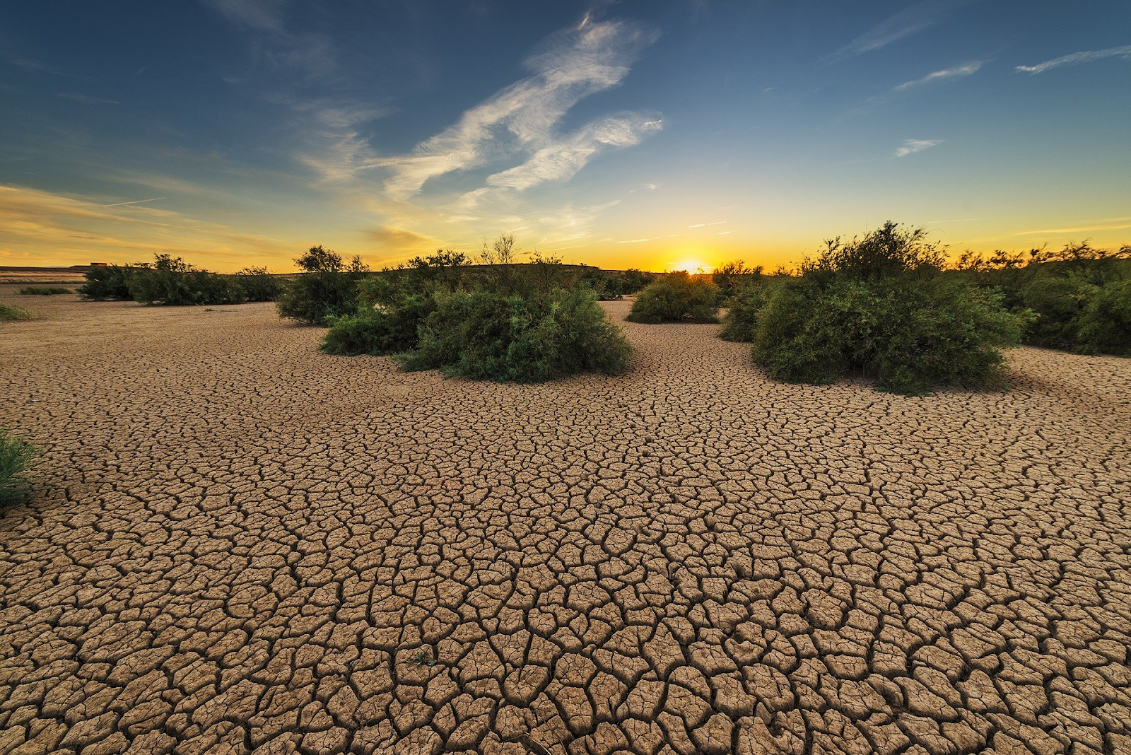 Arid landscape.