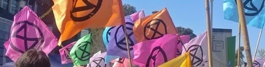 Extinction Rebellion flags