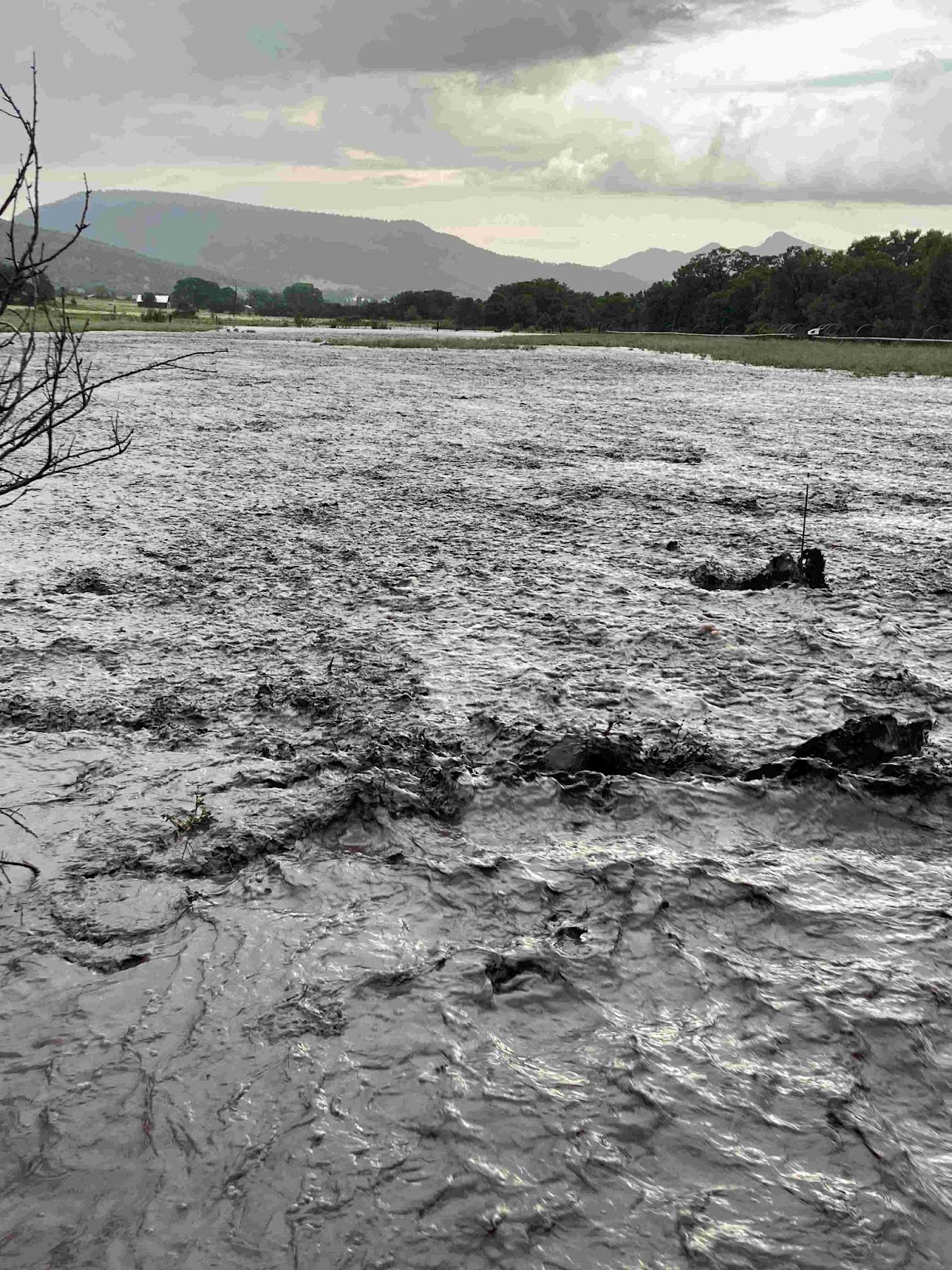 A photo of a large expanse of shallow, very turbulent, gray water at least several hundred feet across. It is flowing through what appears to be green pasture. Bare twigs reach into the image from the left. Although the photographer is presumably standing on dry land, no such land is visible in the foreground of the picture, only water. Green hardwood trees mass in the distance and, far behind them, stand mountain ridges. The sky is a chiaroscuro tumult of cloud.