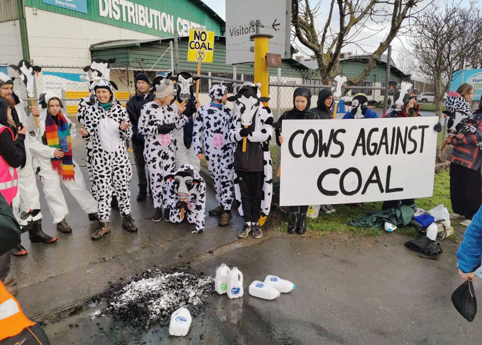 Rebels dressed as cows